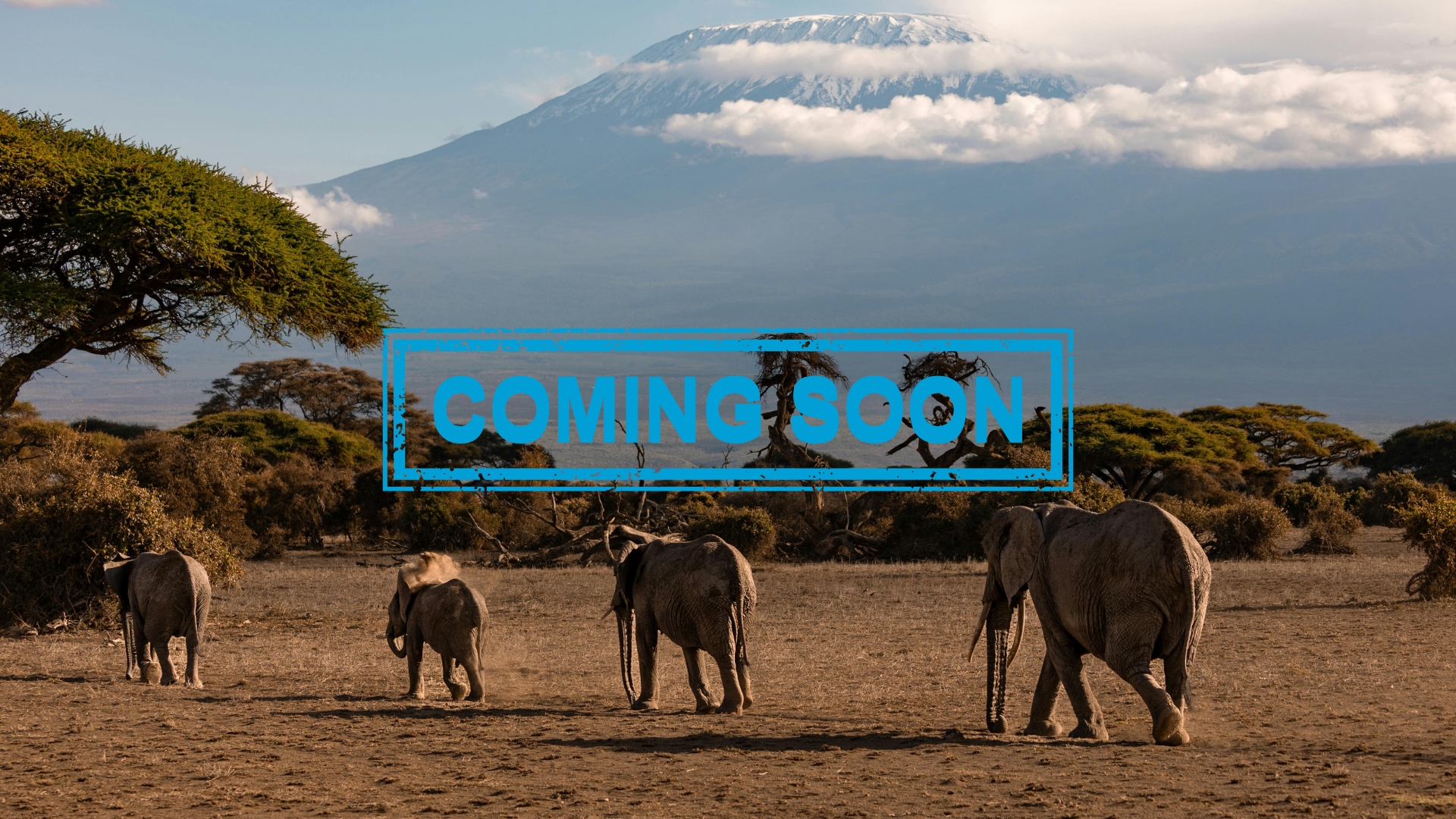 SITO copertina viaggi-4