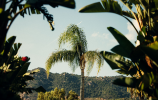 sardinia traveller made l'impronta viaggi